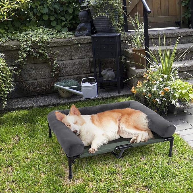 Bolster Dog Cot Elevated Bed with Supportive Sides, Breathable Mesh for Cooling Comfort and Durability