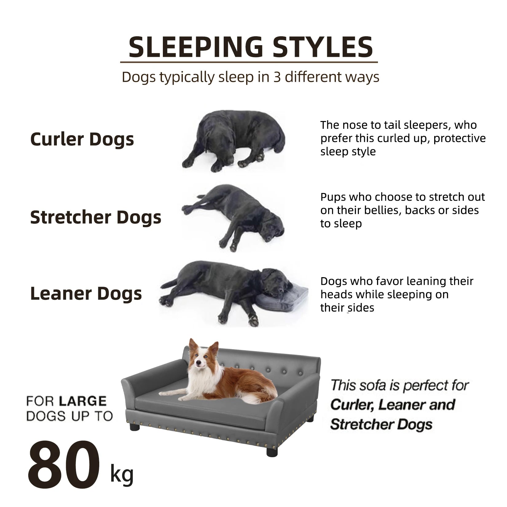 Luxury Elevated Dog Sofa