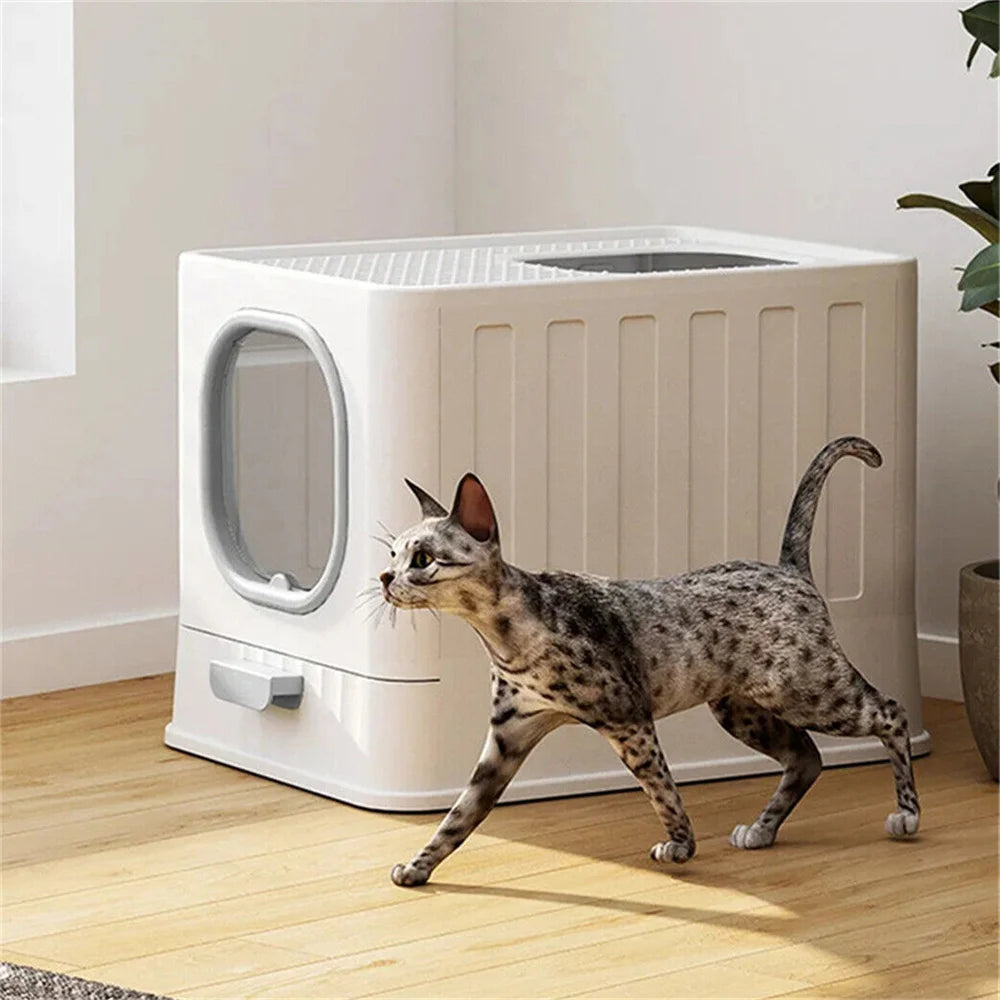 Hooded Cat Litter Box Private and Odor-Controlled Solution for Your Cat