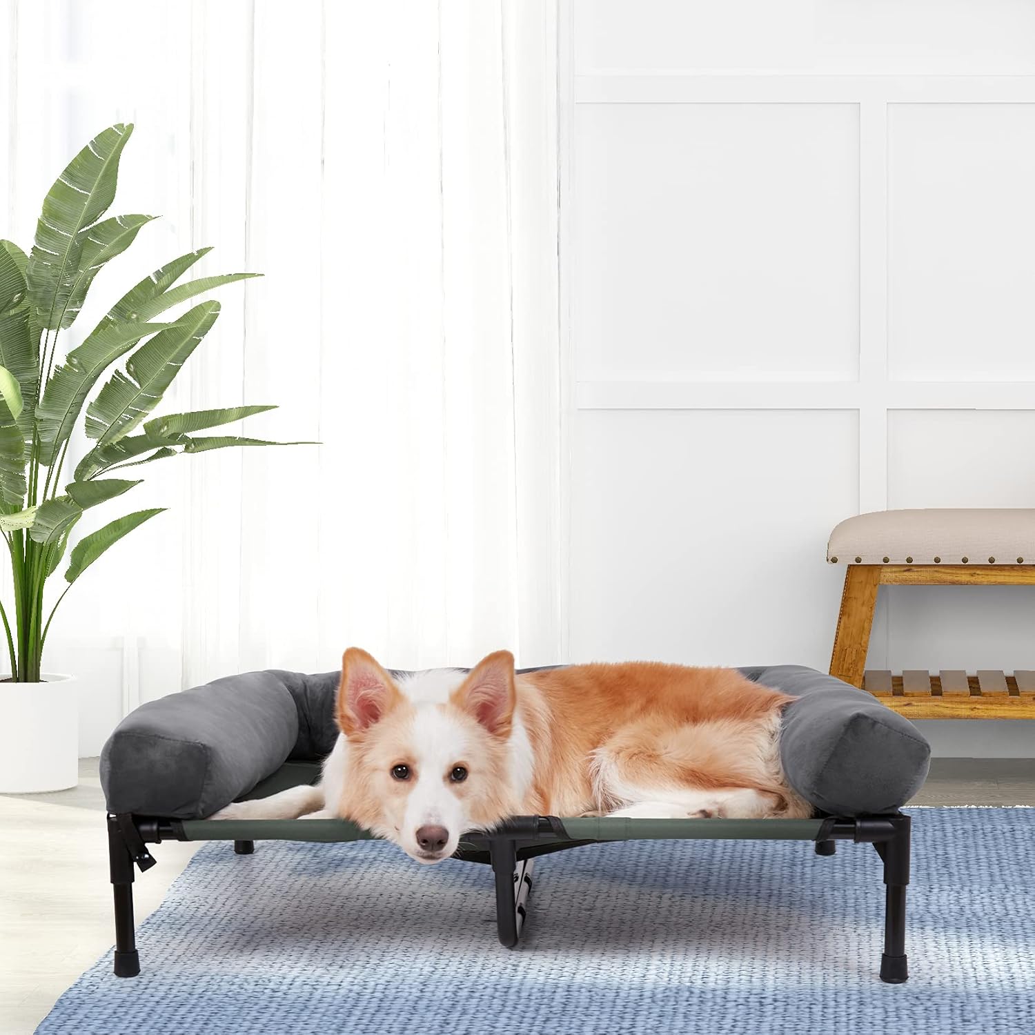 Bolster Dog Cot Elevated Bed with Supportive Sides, Breathable Mesh for Cooling Comfort and Durability